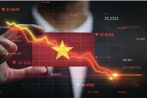 Forbes: Việt Nam nhảy vọt 14 bậc, kỳ vọng lọt top 4 châu Á ở lĩnh vực "chìa khóa định hình" thế giới