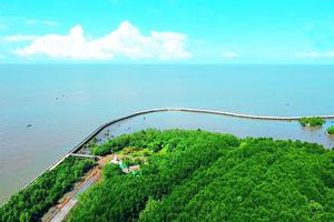 Thêm 4.000 tỷ đồng  phòng, chống sạt lở bờ sông, bờ biển vùng đồng bằng sông Cửu Long