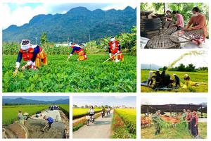 Các chương trình mục tiêu quốc gia được bổ sung dự toán chi đầu tư phát triển và vốn