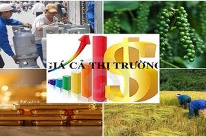 Kế hoạch triển khai thi hành Luật Giá