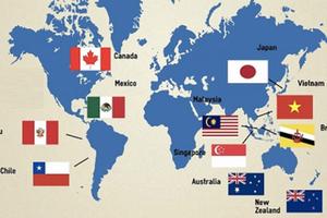 Điều kiện đối với hàng hóa tân trang nhập khẩu theo Hiệp định CPTPP