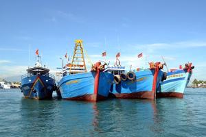 Nhiều biện pháp khẩn trương để chống khai thác hải sản bất hợp pháp, không báo cáo và không theo quy định (IUU)
