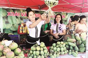 Sơn La sẽ phát triển nông lâm nghiệp ứng dụng công nghệ cao