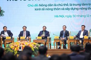 Nông dân Việt vẫn có 'tư duy sản xuất', chưa phát triển thành 'tư duy kinh tế'