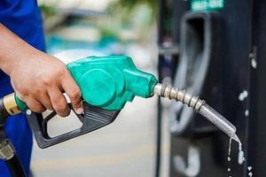 Vi phạm kinh doanh xăng dầu xảy ra thường xuyên, trong nhiều năm 