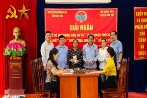 Hướng dẫn thực hiện cơ chế tiền lương Quỹ Hỗ trợ nông dân