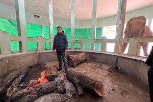 Vườn thú Hà Nội chính thức lên tiếng vụ... Khỉ lạnh “co ro”, hươu cao cổ “đột tử”