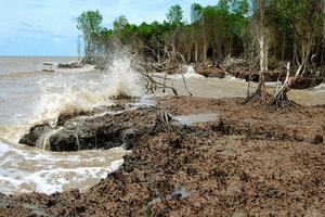 USAID và Việt Nam phát huy nền tảng hợp tác trong lĩnh vực biến đổi khí hậu