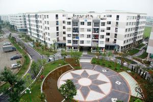 Quy định cụ thể về sàn giao dịch bất động sản