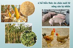 Hỗ trợ sản xuất thức ăn chăn nuôi không quá 05 tỷ đồng/dự án
