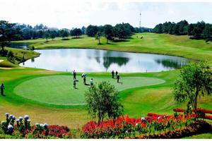 Xử phạt vi phạm tại sân Golf Đồi Cù – Đà lạt (Lâm Đồng): Tháo dỡ hay tháo gỡ?