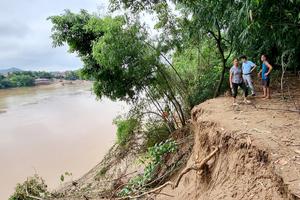 Nước lũ dâng cao, xuất hiện nhiều điểm sạt lở bờ sông ở Phú Thọ