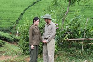 Chiếu phim miễn phí kỷ niệm 79 năm Cách mạng Tháng 8 và ngày lễ Quốc Khánh 2/9