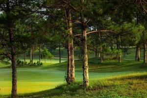 Những quan điểm mới về vụ việc sân Golf Đồi Cù