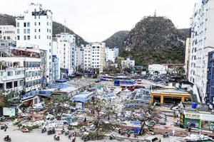 Huyện Cát Hải kêu gọi thành phố Hải Phòng hỗ trợ khẩn cấp sau bão số 3