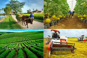 Thành lập Ban Chỉ đạo Tổng điều tra nông thôn, nông nghiệp năm 2025