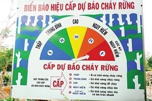Hải Phòng: Khẩn trương triển khai các biện pháp phòng cháy, chữa cháy rừng