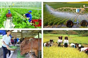 Quyết định tổ chức Tổng điều tra nông thôn, nông nghiệp năm 2025