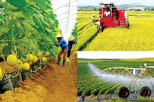 Đẩy mạnh triển khai các chương trình tín dụng đặc thù trong lĩnh vực nông nghiệp