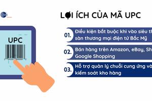 Doanh nghiệp xuất khẩu cần biết gì về mã UPC? Hướng dẫn từ A-Z