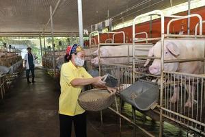 Nâng cao minh bạch chuỗi cung ứng, bám sát tiêu chuẩn quốc gia và hệ thống mã số quốc tế