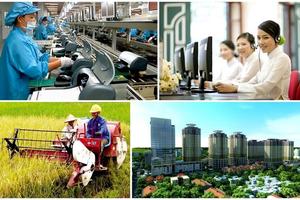 Thành viên Hội đồng Tư vấn chính sách gồm những ai?