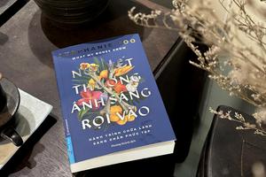 ‘Nơi vết thương ánh sáng rọi vào’ - Cuốn sách tiên phong về Sang chấn Phức tạp