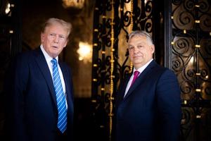 Vì sao Tổng thống Donald Trump lại đe dọa Hungary?