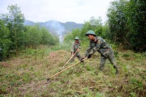 Công tác trồng rừng phủ xanh đất trống, đồi trọc là việc cần làm ngay