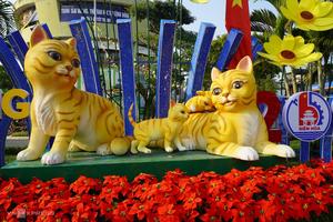 Vietnam goes feline for the Year of the Cat