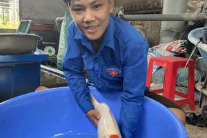 Vietnamese fish farmer generates impressive income from quality koi farm