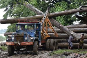 United States Justice Department Providing Anti-Timber Trafficking Training in Vietnam