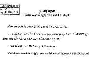 Chính phủ bãi bỏ gần 10 Nghị định cũ