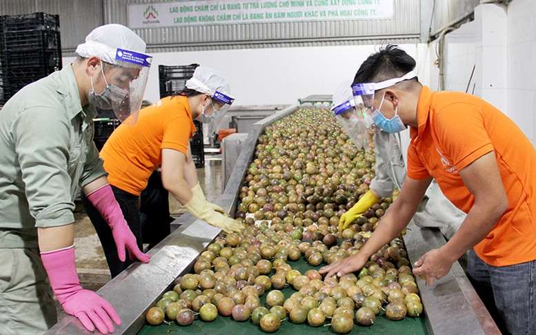 Bộ Công Thương khuyến cáo doanh nghiệp cập nhật quy định mới của Trung Quốc về xuất khẩu thực phẩm