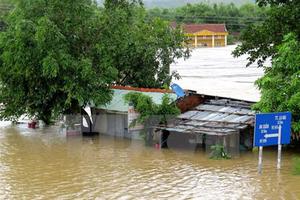 Khẩn trương hỗ trợ người nộp thuế bị tổn thất do mưa lũ