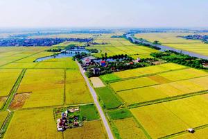 Bộ Tài chính đề xuất giảm 70% tiền chuyển đổi đất nông nghiệp sang thổ cư