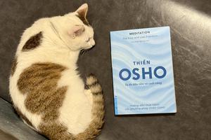 “Thiền: Tự do đầu tiên và cuối cùng” của Osho