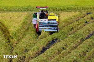 Quốc hội thông qua Luật sửa đổi, bổ sung 15 luật trong lĩnh vực nông nghiệp và môi trường