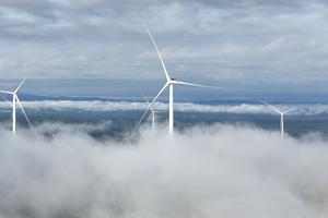 Chính thức vận hành thương mại nhà máy điện gió Savan 1 của T&T Group tại Lào