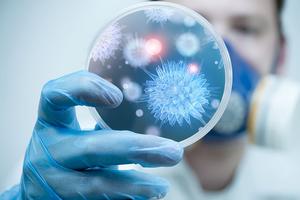 Bộ Y tế khuyến cáo người dân hạn chế đến khu vực có dịch bệnh do virus Nipah