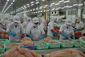 Gỡ vướng thủ tục xuất khẩu thủy sản sang Hoa Kỳ