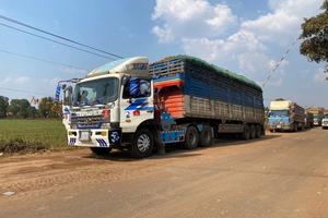 Thủ tướng chỉ đạo tháo gỡ vướng mắc trong triển khai Nghị định 46/2026/NĐ-CP về an toàn thực phẩm