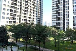 Bộ Xây dựng lấy ý kiến dự thảo Nghị quyết phát triển nhà ở thương mại giá phù hợp thu nhập