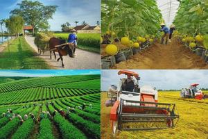 Hỗ trợ hợp tác xã chuyển đổi số là trọng tâm năm 2026