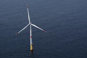 TotalEnergies định hướng chuyển trục đầu tư từ điện gió sang dầu khí tại Mỹ