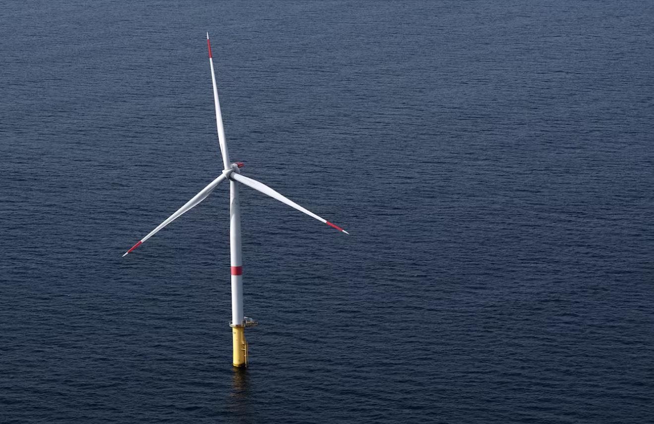 TotalEnergies định hướng chuyển trục đầu tư từ điện gió sang dầu khí tại Mỹ