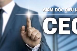 Chính phủ phê duyệt chương trình đào tạo, bồi dưỡng 10.000 giám đốc điều hành