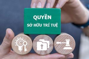 Quyết liệt ngăn chặn xâm phạm sở hữu trí tuệ trên toàn quốc